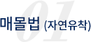 부분절개법