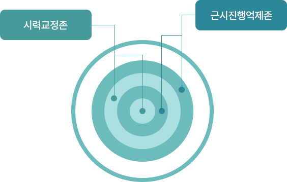 마이사이트의 시력교정 원리
