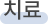 치료